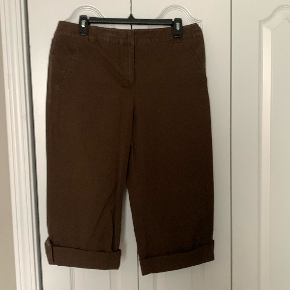 Ann Taylor brown cropped pants
